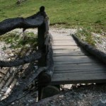 Rundweg Elmautal - Filzmoosalm - Loosbühelalm - Kurzmeldung  Elmautal-064-150x150