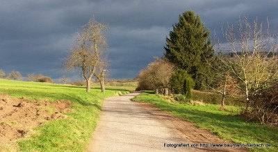 Spaziergang zum Ludwigstempel im Wechselspiel von Wolken, Sonne und Wind - Kurzmeldung  20150111_142830-400x220