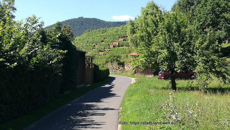 Bayerisch-badische Grenzlandrunde rund um Miltenberg, Walldürn und Hardheim - Baden-Württemberg Bahnradwege Bayern Deutschland Flüsse und Seen Flussradwege Outdoor-Erlebnisse Radtouren RSS-Feed  39-IMG_20230810_150931-780x440